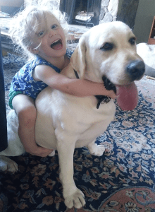 Child and yellow lab